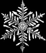 snowflake National Oceanic and Atmospheric Administration-resized-600